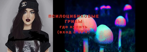 MDMA Снежногорск