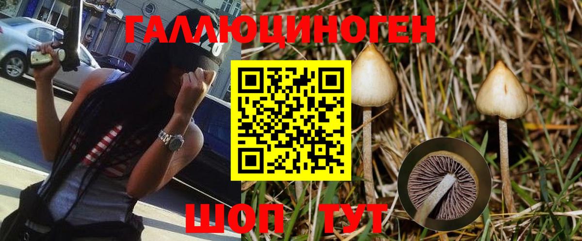 Псилоцибиновые грибы GOLDEN TEACHER  Галлюциногенные грибы Psilocybine cubensis  дарнет шоп  Вход с VPN  Дивногорск 