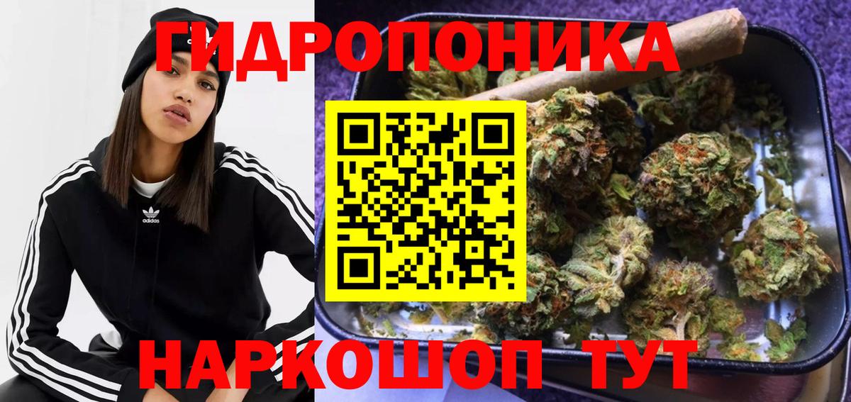 Галлюциногенные грибы Дивногорск